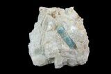 Fluorapatite Crystal In Calcite - New York #71624-1